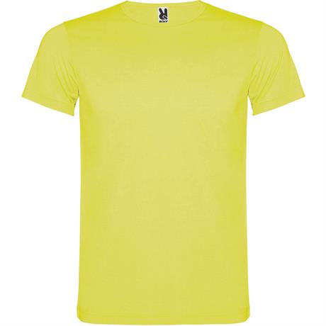 Camiseta amarilla AKITA